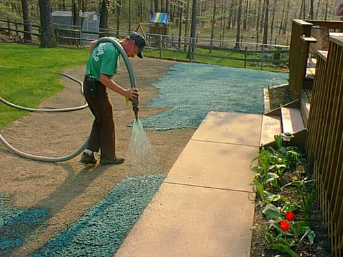 anyone have any luck with scotts grass seed landscaping lawn care page 2 diy chatroom anyone have any luck with scotts grass seed landscaping lawn care page 2 diy chatroom